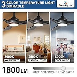BvenuBigLite Ceiling Fan with Light Modern: 52 Inch