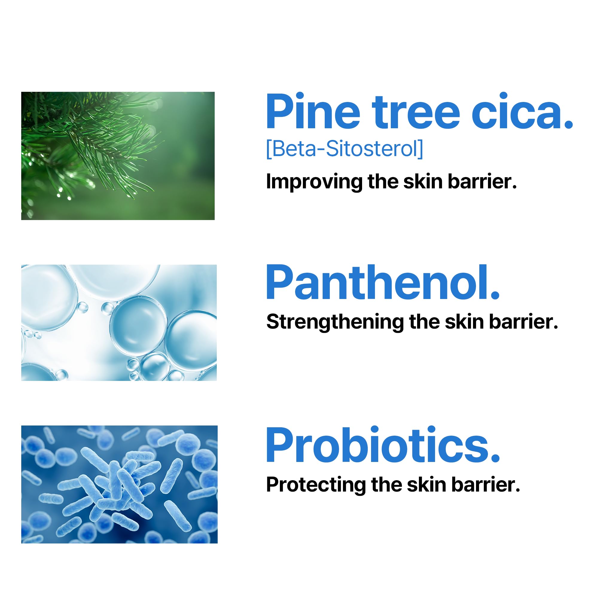 View 4