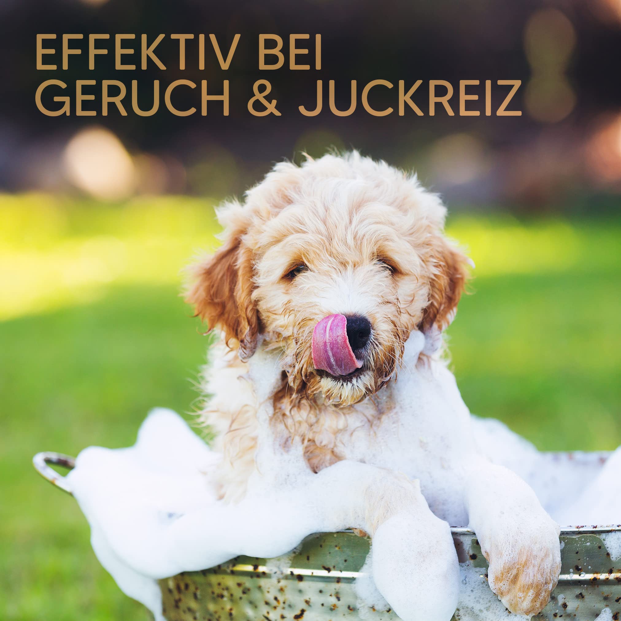 Pawlie's (NEU) Welpenshampoo Sensitiv - Tränenfreie Formel | Sicheres & natürliches Hundeshampoo für Welpen und empfindliche Hunde Aller Rassen | Parfümfreie, pH-neutrale (pH 7) Haut- & Fellpflege 6