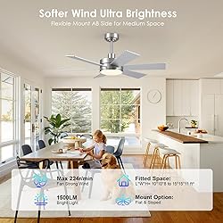 42 inch Ceiling Fans with Lights, Ceiling Fan with