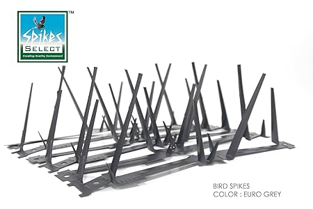 Select Spikes Galvanized Single Sheet Steel Bird Spikes, 11 Ft 91cm 12 Strips x 30cm (Euro Grey)
