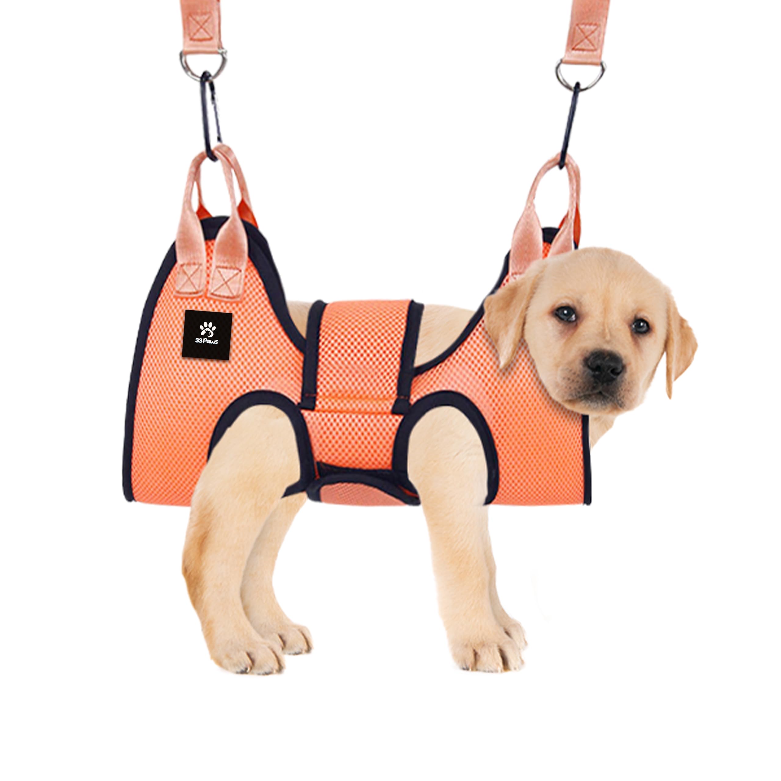 Photo 1 of *MINOR DAMAGE - USED*
33 Paws Dog Grooming Hammock - Dog Sling for Grooming, Pamper Your Furry with This Stress-Free Dog Grooming Kit - Orange, Large