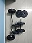 Buy Kore PVC 10KG Combo 3 Home Gym Set with One 3 Ft Curl and One Pair ...