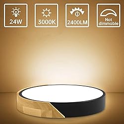 Led Ceiling Light Flush Mount: 12 Inch 24W Bedroom