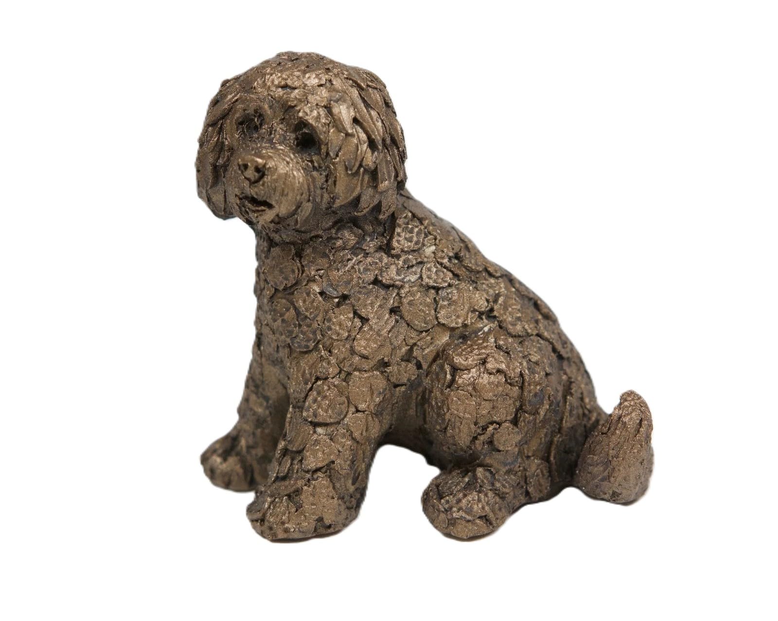 Frith Shorty Labradoodle Sitting - ATM001