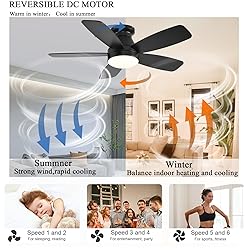 JSAITEE Ceiling Fans with Lights, 42 Inch Low