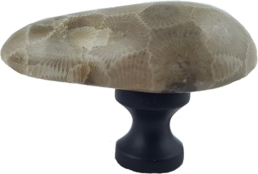 Petoskey Stone Drawer And Cabinet Knobs Gorgeous Michigan State