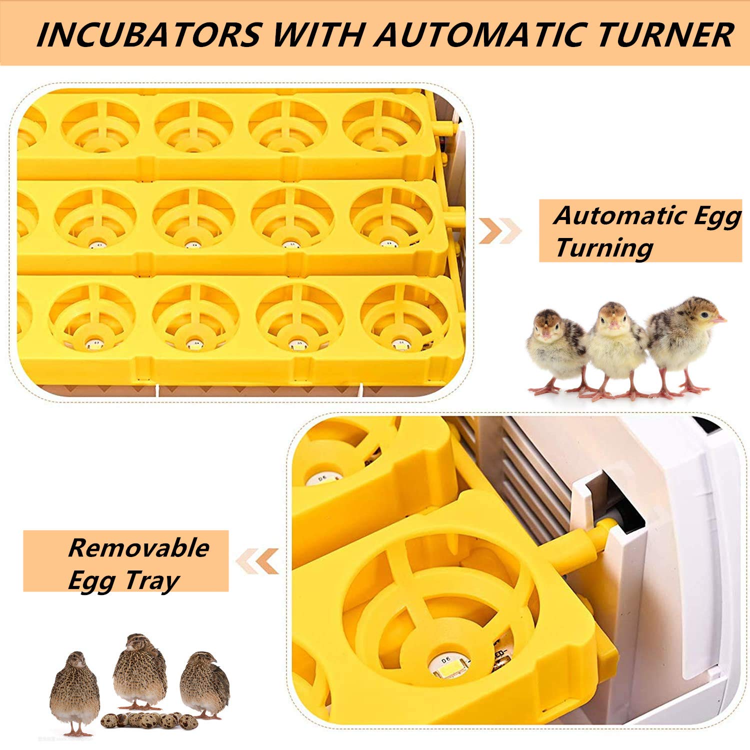 Egg Incubator Temperature Control & Humidity Control & Automatic Egg