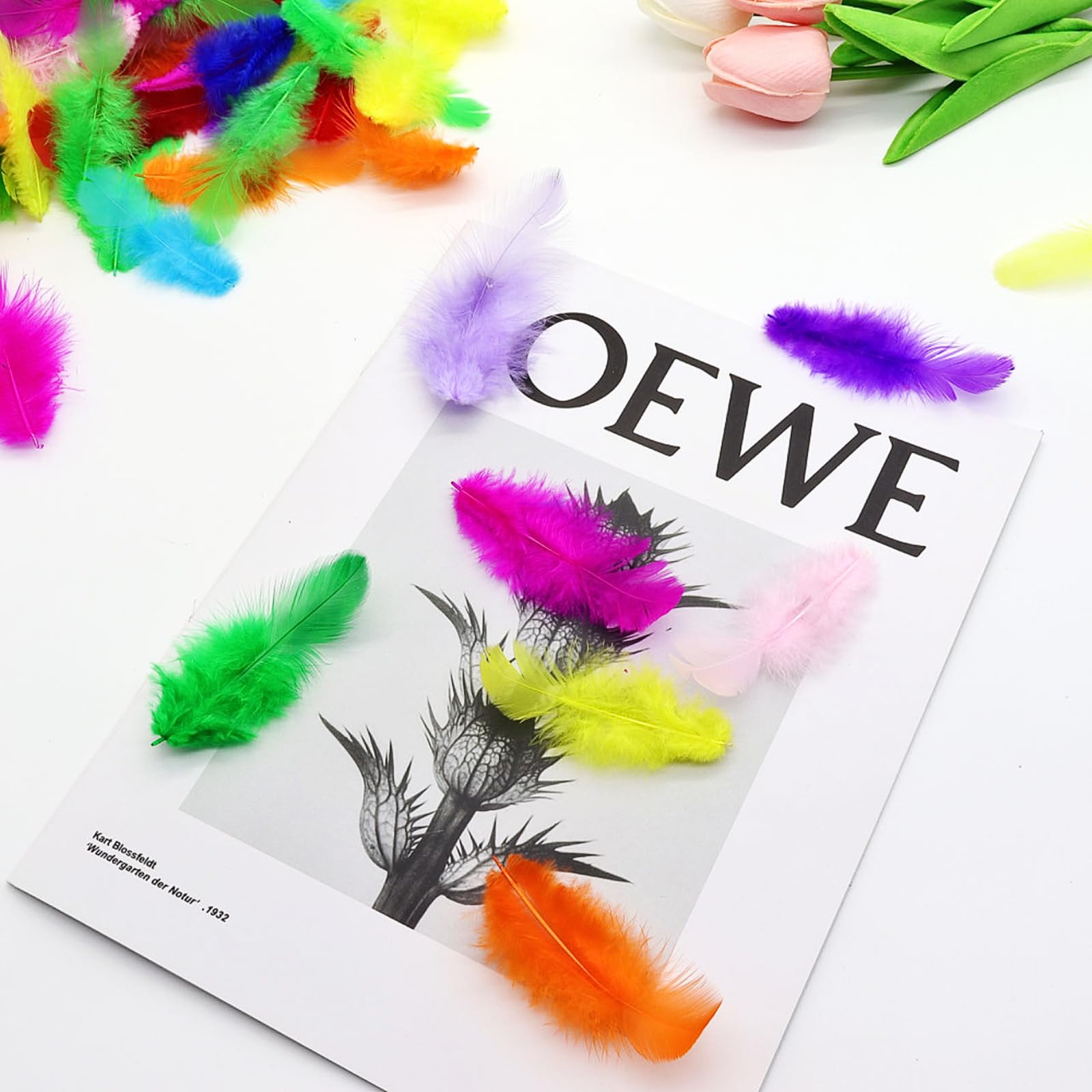 800Pcs Colorful Craft Rooster Feathers 3-5-inch Bulk Feathers for Crafting Kindergarten DIY Crafts, Wedding, Family Party Decorations, Dream Catcher Supplies, Natural Feathers