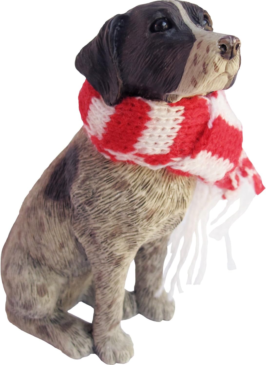 german shorthaired pointer collar