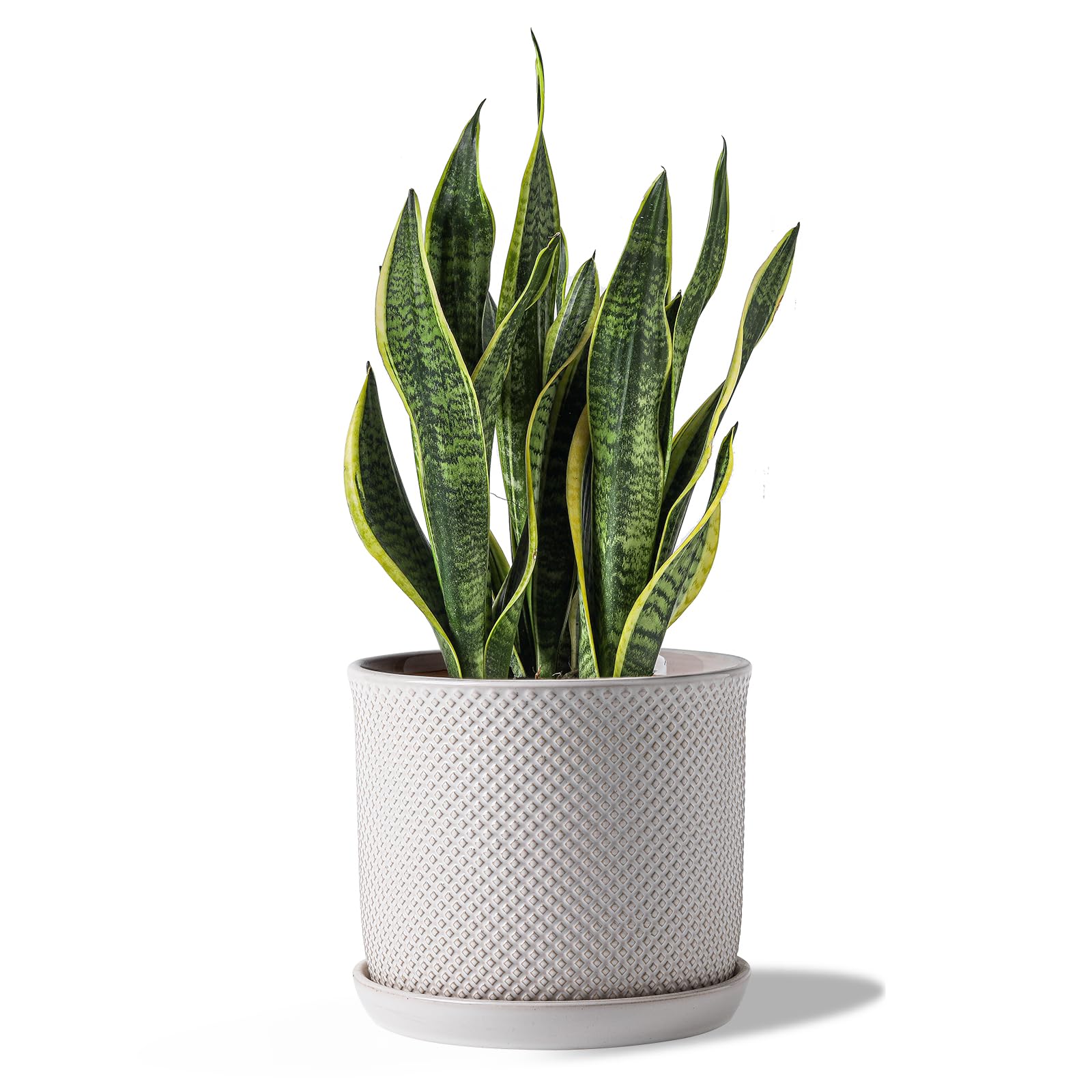 Photo 1 of **POTS IS BLUE AND MISSING SAUCER***Chubacoo 8 Inch Plant Pots: Ceramic Planter with Drainage Hole & Saucer - Flowerpot for Indoor & Outdoor Plants - Beaded Embossed Design DARK BLUE - with Separate Tray