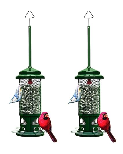 Amazon Com Squirrel Buster Standard Squirrel Proof Bird Feeder W