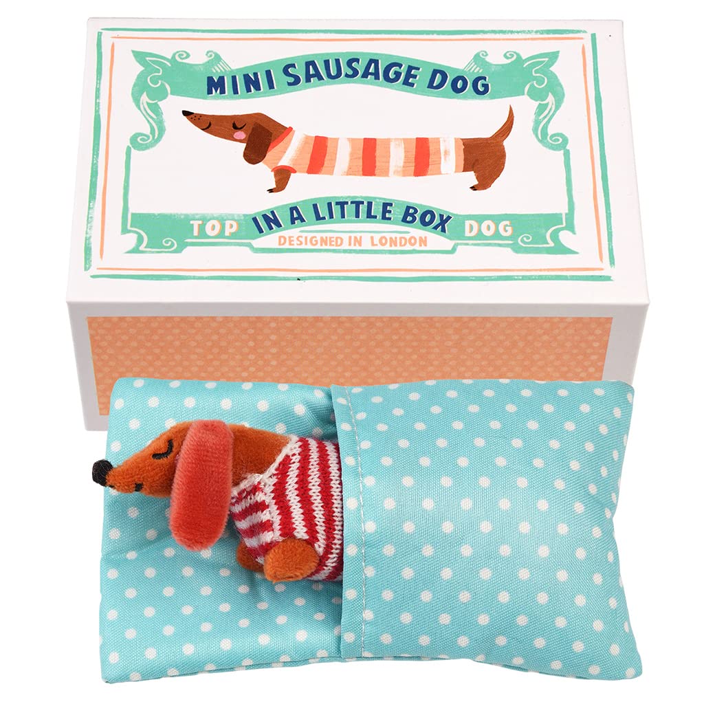Rex London Mini Sausage Dog in a Little Box