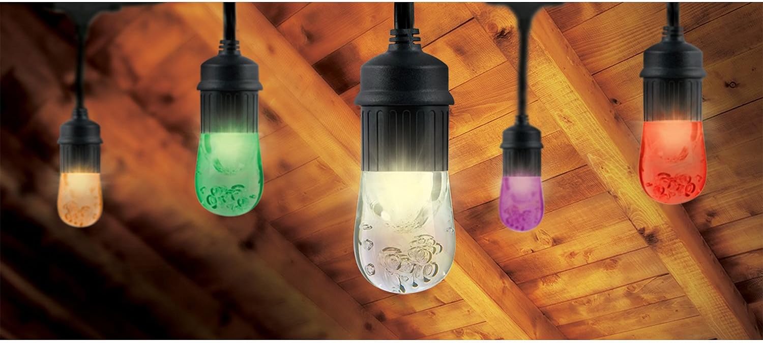 Enbrighten Seasons LED Warm Color Changing Café String
