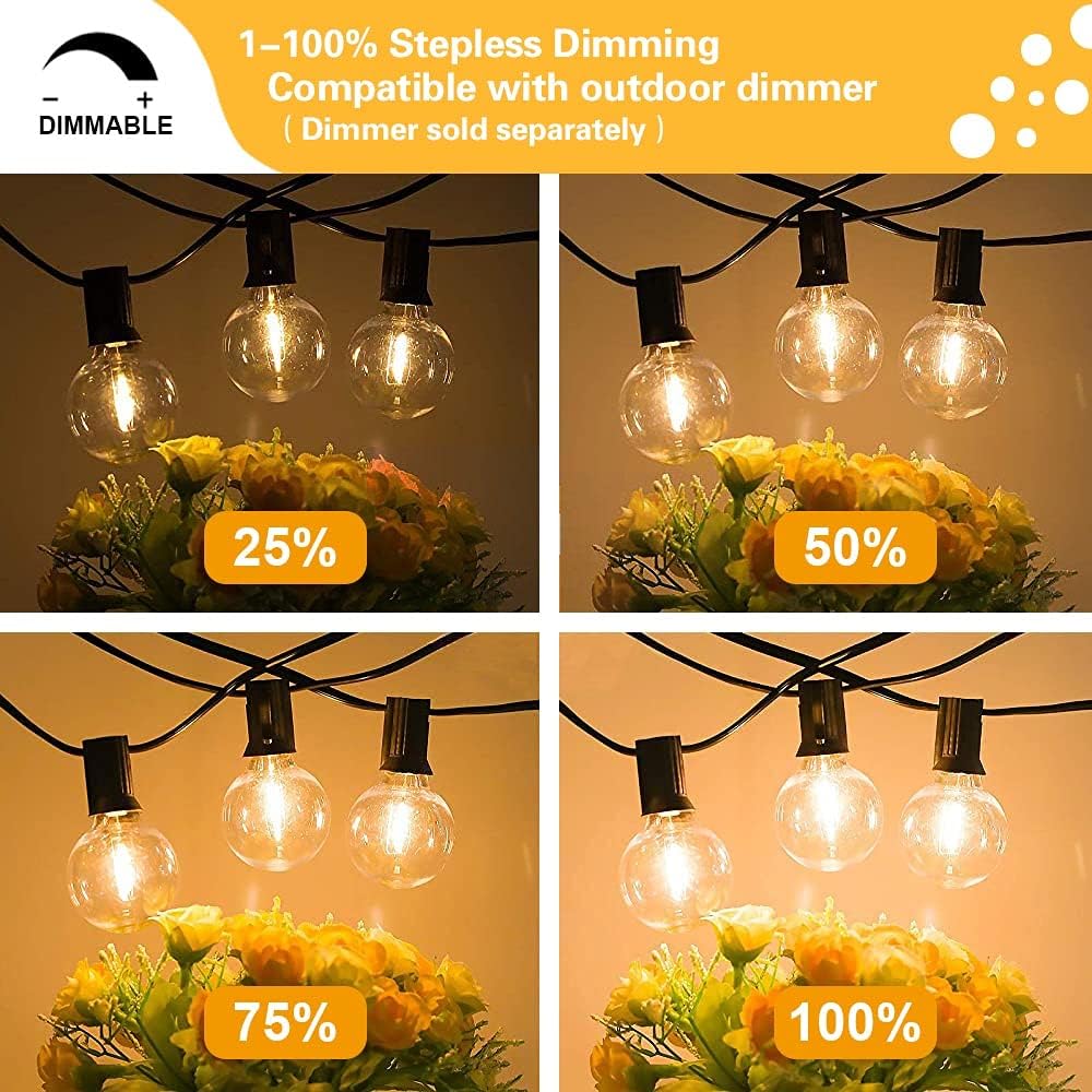 SUNTHIN Globe Outdoor String Lights, 27FT Patio String Light with 13 G40 LED Bulbs, Waterproof Hanging Lights String for Outside Backyard, Balcony, Porch, Bistro, Party: Home Improvement