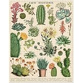 Cavallini 1000 Piece Puzzle, Cacti and Succulents (PZL/SUC)
