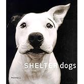 Shelter Dogs