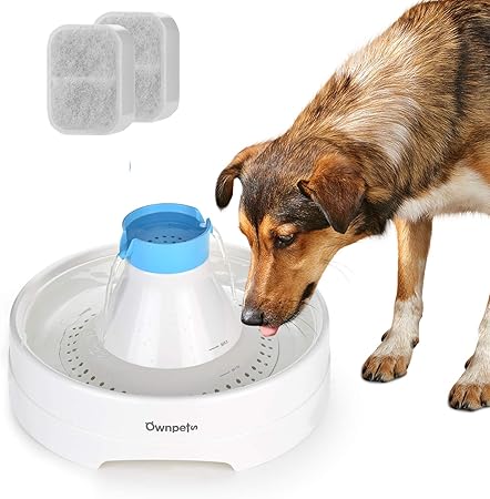 target pet fountain