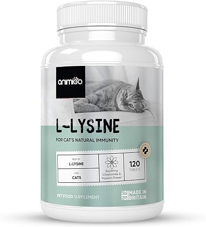 L Lysine Tablets For Cats 120 Tablets Natural L Lysine Complex Supplement For Immunity Support Anxiety Relief In Cats Food Supplement For Calm Cat B Complex Theanine Magnesium Chamomile Amazon Co Uk