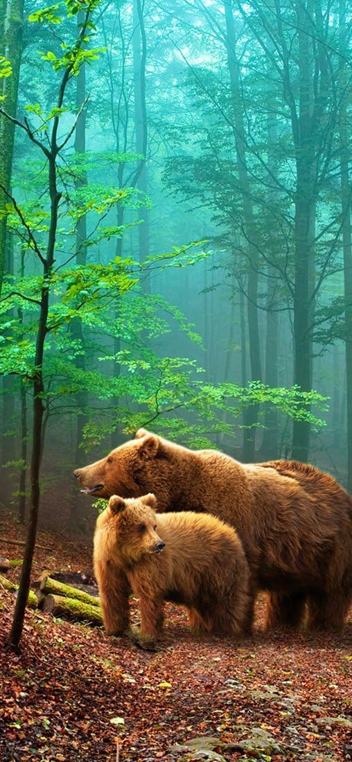 PeelitStickit, Beautiful Nature Wall Murals, ID-080, vinyl, Multi-colour