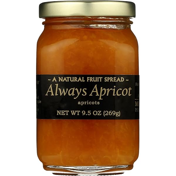 Amazon.com: Mountain Fruit Company Always Apricot Jam, 9.5 OZ