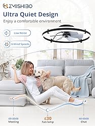 ZMISHIBO 24 Inch Ceiling Fans with Lights and