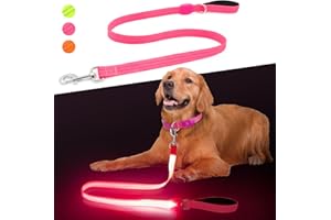 CHALKLIT LED Dog Leash, Light Up Dog Leash 4 Ft USB Rechargeable Waterproof, Nylon Reflective Leashes with Padded Handle for Dogs Night Walking Light, Safety Glow in The Dark for Large Medium Pets (Pink)
