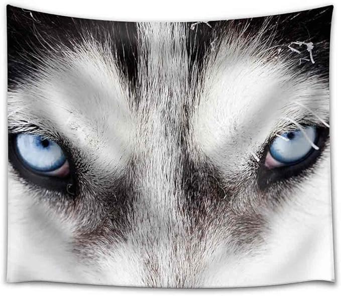 Amazon Com Wall26 Close Up On Blue Eyes Of A Husky Dog Fabric