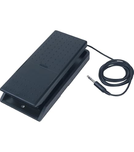 Amazon.com: BOSS FV-500L Low-Impedance Foot Volume Pedal for your