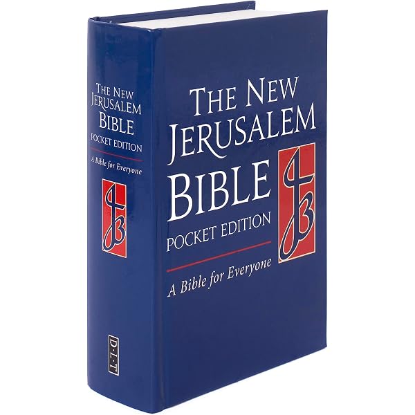 The New Testament New Jerusalem Bible: H Haken: 9780232519662