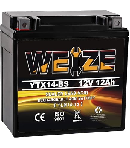 Amazon.com: Yuasa YTX14-BS Maintence Free Battery with Acid Pack
