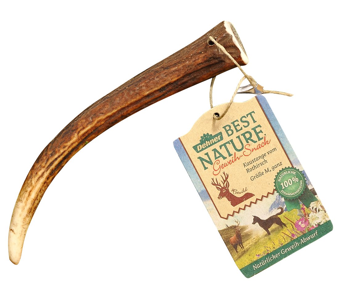 Dehner Best Nature dog snack | chewing stick | natural snack | chew toy | dog toy | red deer antlers | whole | sustainable| for dental care | tartar | size L | 1 piece
