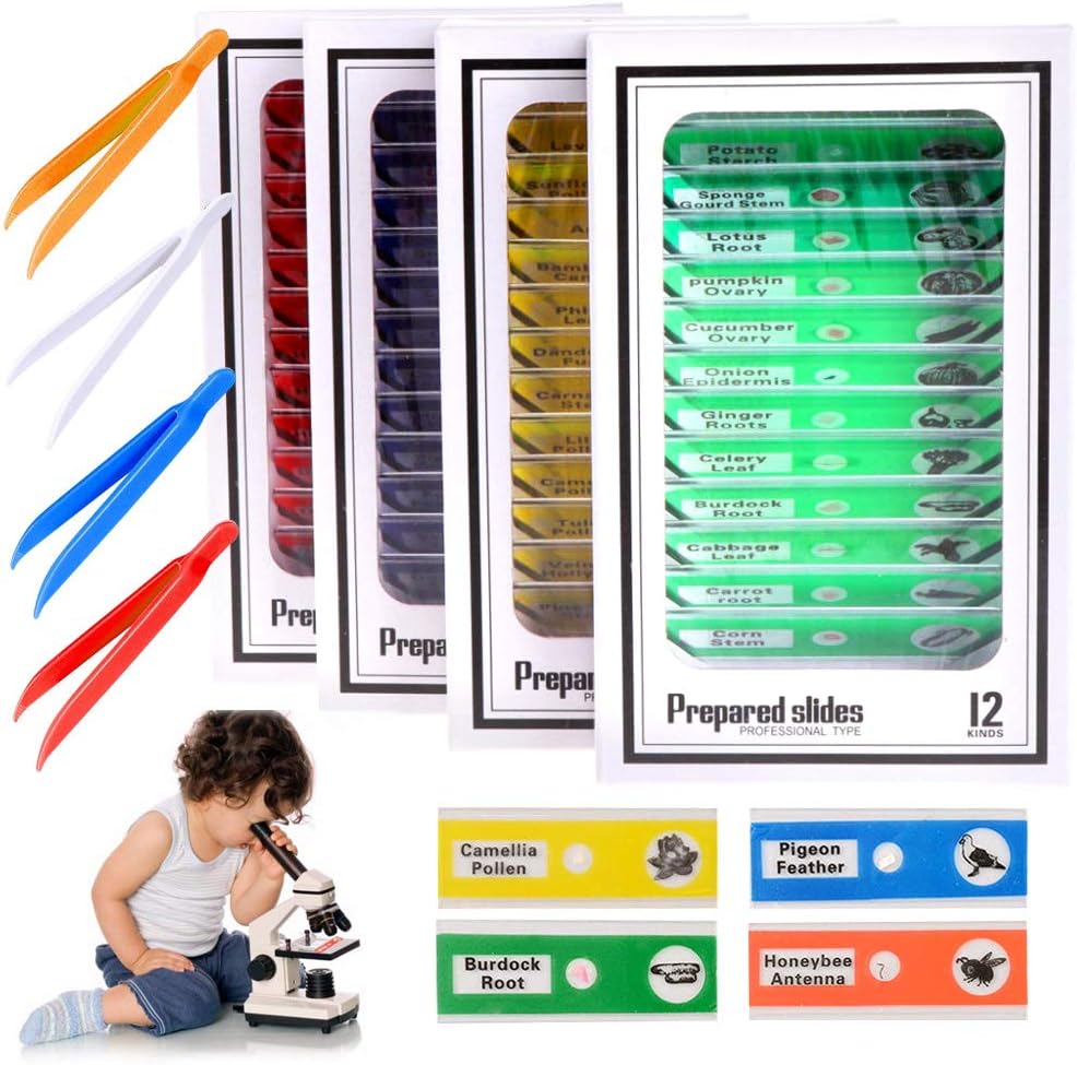 Prepared Microscope Slides 48pcs Kids Plastic Biological Specimens Slides of Animals Insects Plants Flowers Sample Specimens for Stereo Microscopes and 4 Pieces Assorted Color Plastic Tweezers
