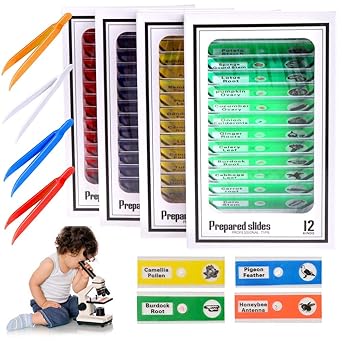 Prepared Microscope Slides 48pcs Kids Plastic Biological Specimens Slides Of Animals Insects Plants Flowers Sample Specimens For Stereo Microscopes And 4 Pieces Assorted Color Plastic Tweezers Amazon Co Uk Business Industry Science