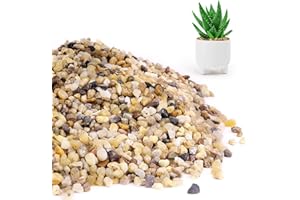 WHANLEY L&Q Natural Coarse Sand,Rocks for Plants,Decorative Stones,Aquarium Sand,Succulents and Cactus Bonsai DIY Projects Rocks,Pebbles for Indoor Plants,Gravel(Stones Size:3~5 mm) 1 LB