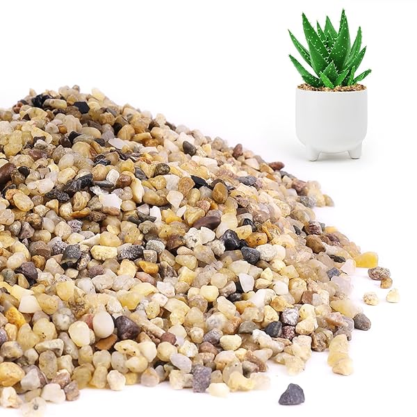 NATURAL COARSE SAND,ROCKS FOR PLANTS,DECORATIVE STONES,AQUARIUM SAND,SUCCULENTS AND CACTUS BONSAI DIY PROJECTS ROCKS,PEBBLES FOR INDOOR PLANTS,GRAVEL(STONES SIZE:3~5 MM) 1 LB