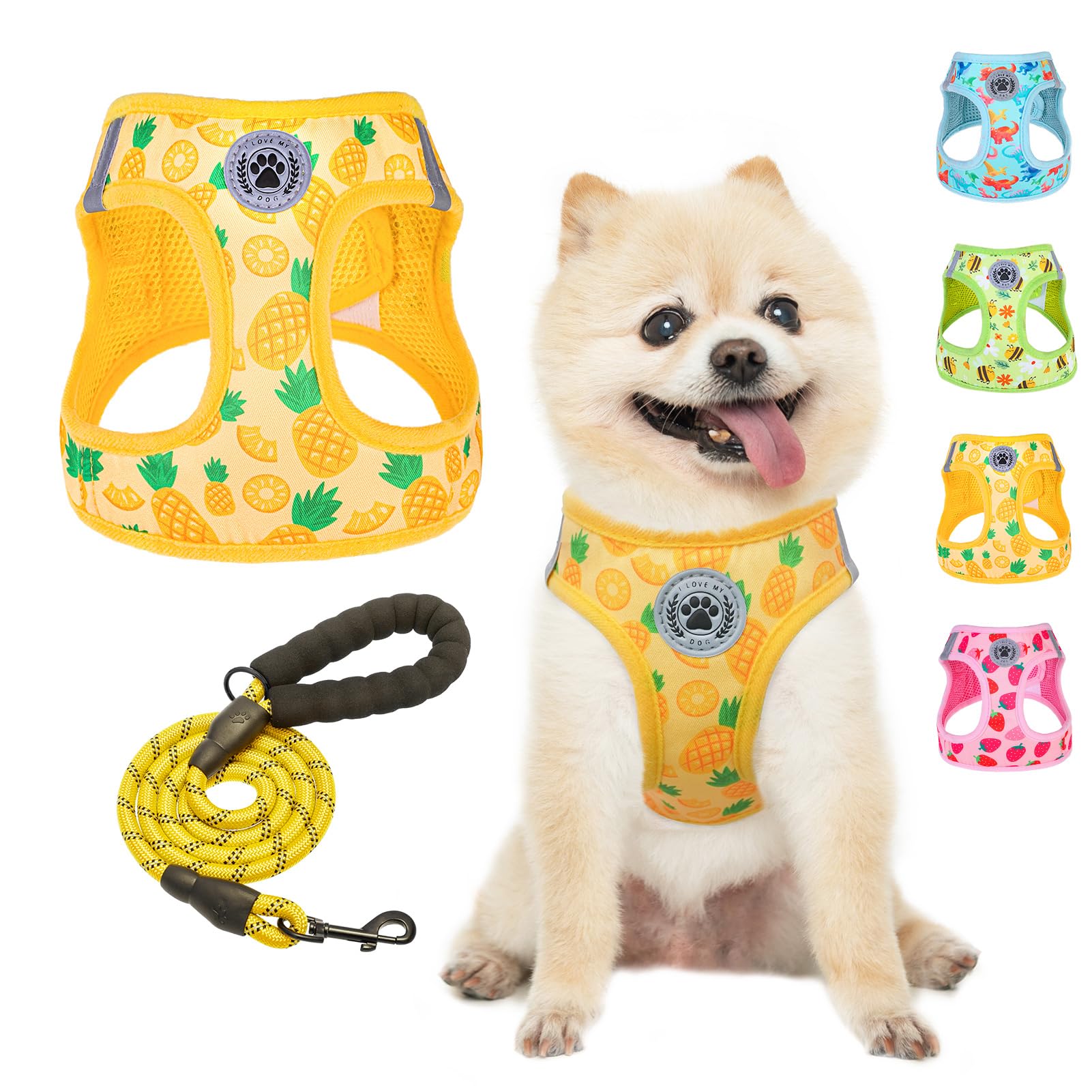 BEAUTYZOO Step in Dog Harness and Leash Set,Reflective Dog Harness No Pull No Choke Puppy Harness for Small Medium Large Dogs Cats,Soft Padded Mesh Vest Harnesses for Girl and Boy Pets, Pineapple XS — image 1