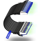 Rapink Patch Cables Cat8 1ft 10 Pack Slim, Cat8 Ethernet Patch Cable 40G Support, Snagless Cat 8 Patch Cable for Patch Panel to Switch, Flexiable Cat 8 Ethernet Cable Datacenter with Gold Plated