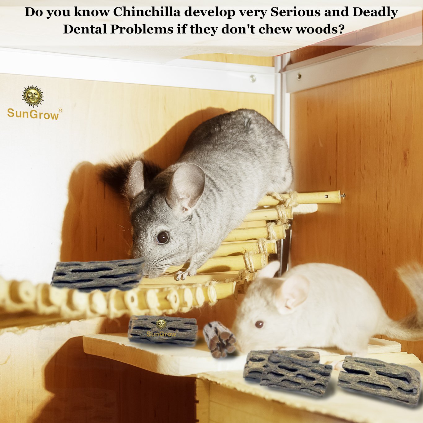 6-pcs Natural Cholla wood for Chinchillas by SunGrow - 100% Organic soft wood, Chemical-free, thorn-free - Keeps Chinchilla teeth healthy - Chew toy for ferrets, guinea pigs, gerbils, mice, hamsters