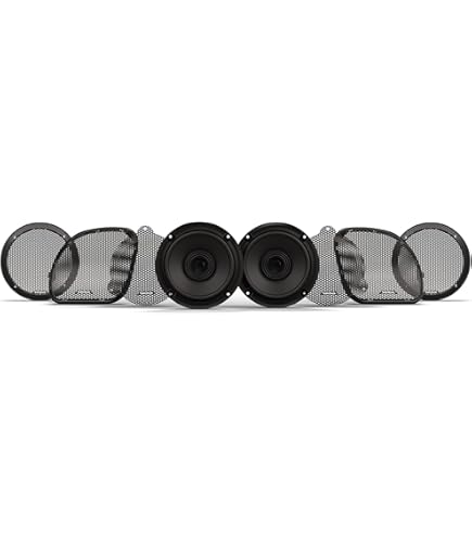 Amazon.com: Rockford Fosgate TMS24-69 6x9” 2-Way Full Range Drop