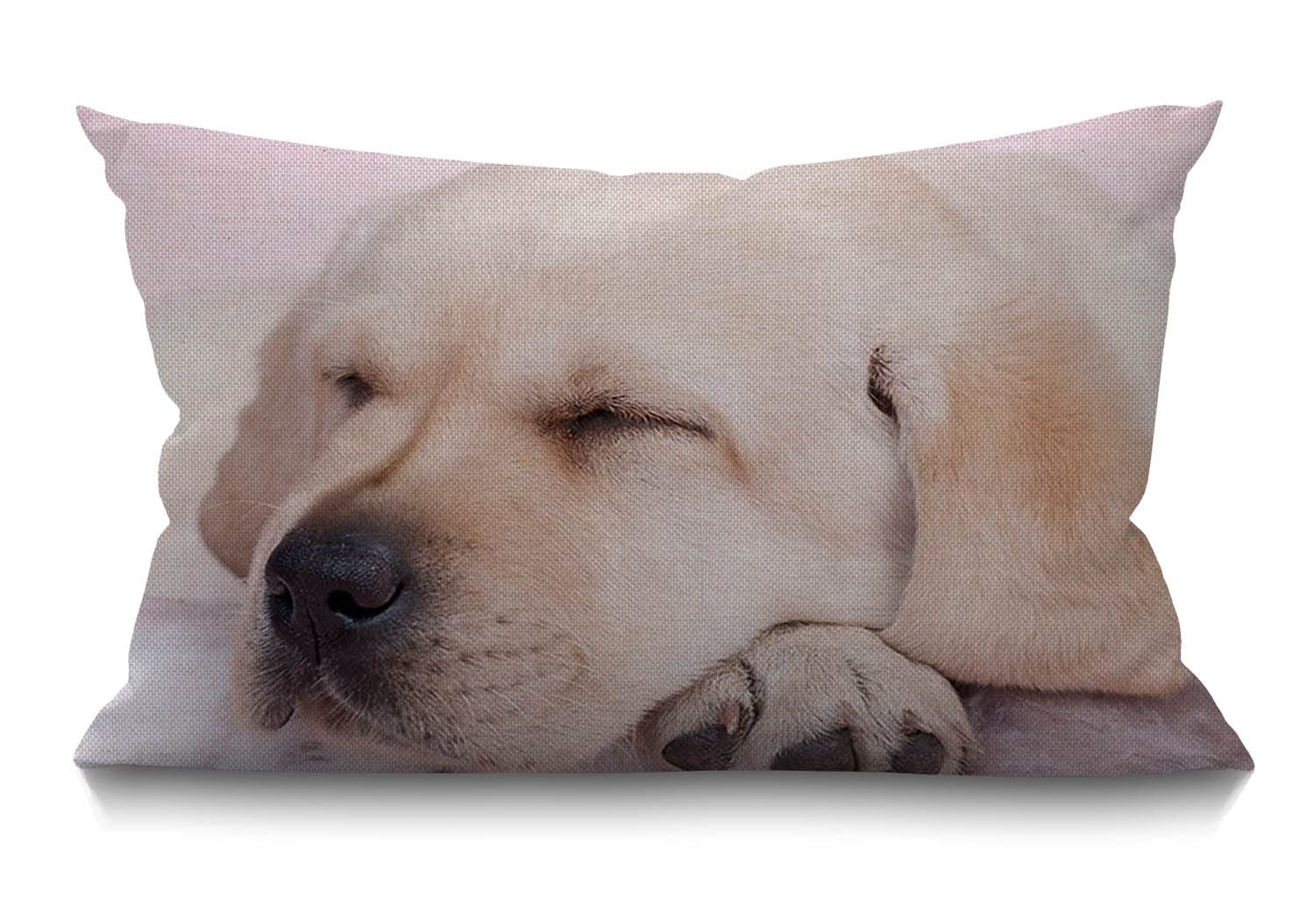 BGBDEIA Dog Lumbar Cushion Cover 30X50cm 12x20 Inch Decorative Bedroom Living Room Funny Sleeping Labrador Puppy Dog Rectanglar Throw Pillow Cover for Bed Sofa Couch