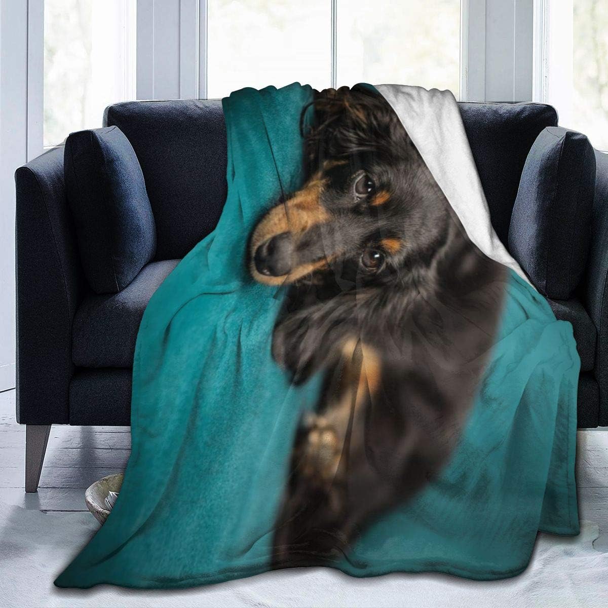 LodiSFOA Black LongHaired Dachshund Dog Fleece Blanket