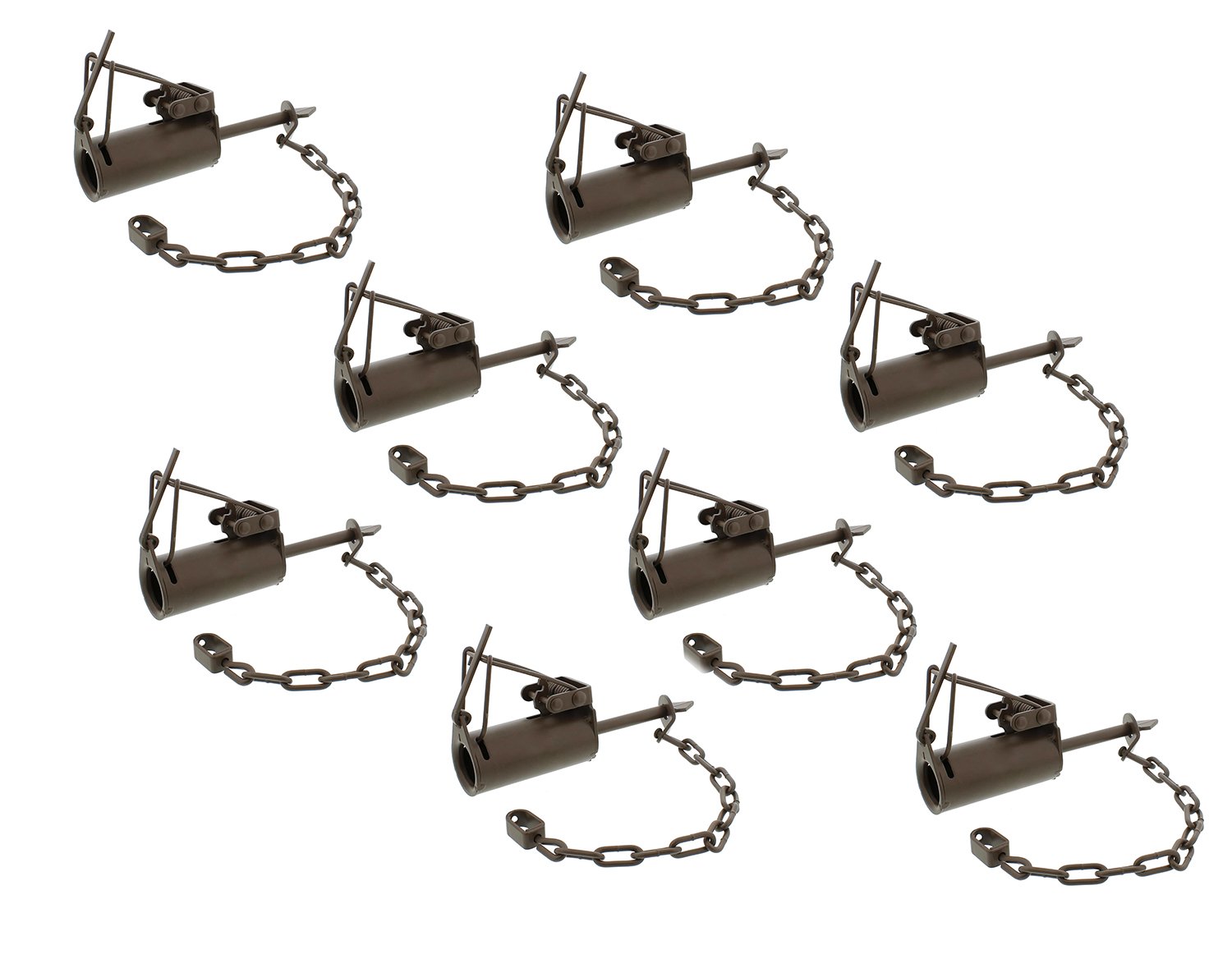 Duke DogProof DP Animal Leg Trap for Raccoon, Nutria, Fox, and Mink