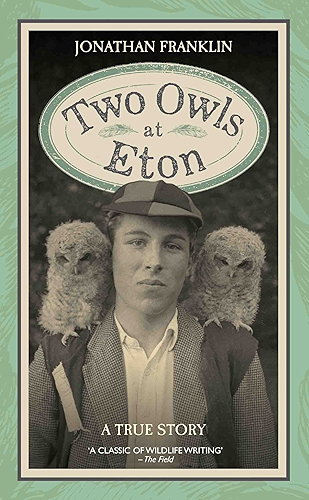 Download Two Owls at Eton - A True Story (English Edition) PDF