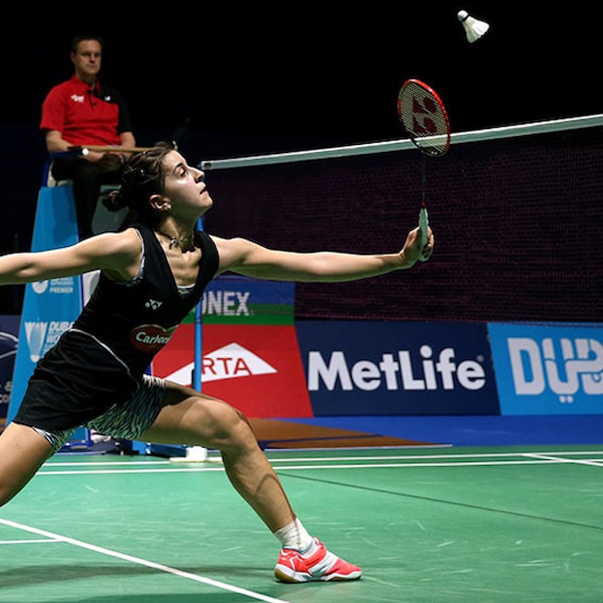 Renfox Badminton Shuttlecocks, 12Pcs Advanced Goose Feather Shuttlecocks Training Badminton Balls with Great Stability and Durability for Indoor Outdoor Sports