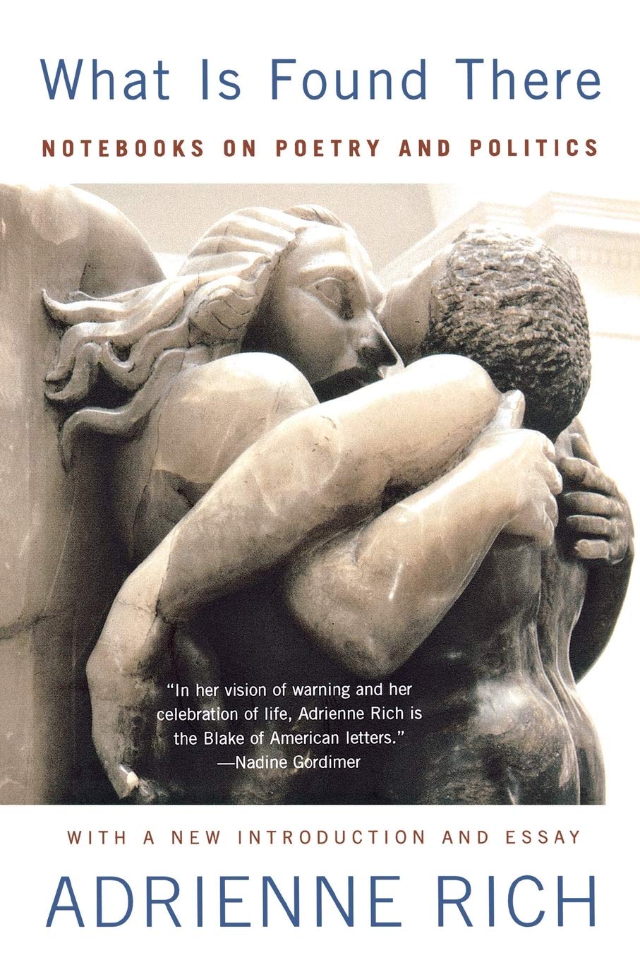 Amazon Com What Is Found There Notebooks On Poetry And Politics 9780393312461 Rich Adrienne Books