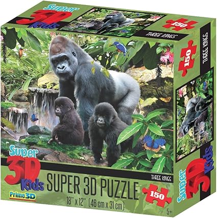 howard robinson puzzles