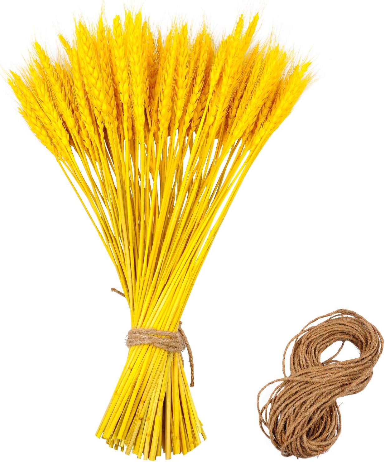 Kyrieval 100 Stem Golden Dried Wheat Stalks Natural Wheat