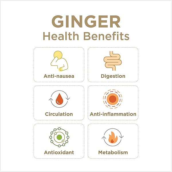 99% PURE GINGER JUICE BY THE GINGER PEOPLE – DIGESTIVE HEALTH, PREMIUM QUALITY, 32 FL OZ BOTTLE (PACK OF 1)