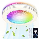 Smart Low Profile Ceiling Fans with Lights and